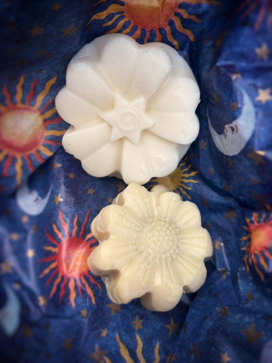 Conditioner Hair Mask Bars